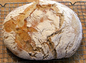 no-knead-1.jpg