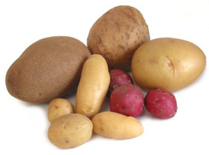 potatoes-group.jpg