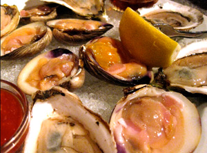rioysters