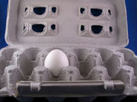 egg-carton.jpg