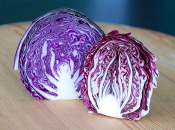 redcabbage.jpg