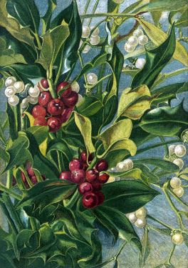holly-and-mistletoe.jpg