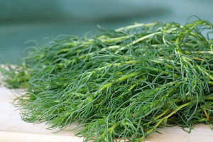 What is Agretti?