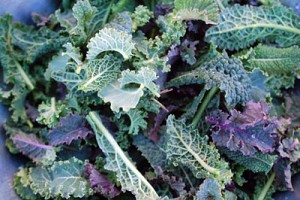 Baby Kale and 10 Ways to Use It