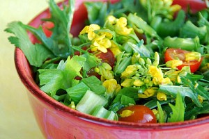 Mizuna and Broccoli Flower Salad