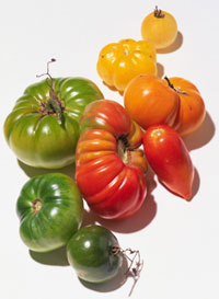 tomato_heirloom300w.jpg