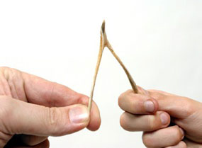 wishbone.jpg