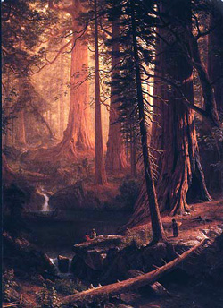 johnmuir.jpg