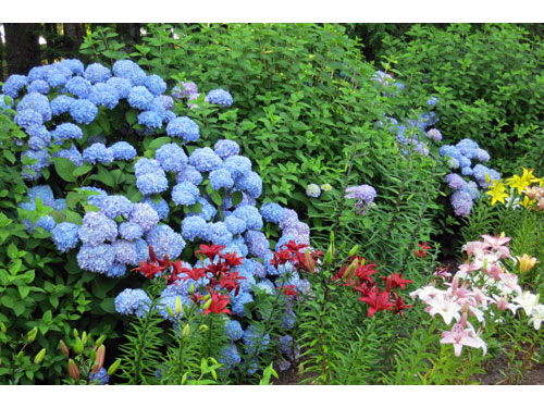 Maine08