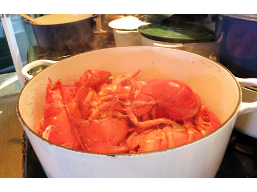 Maine14