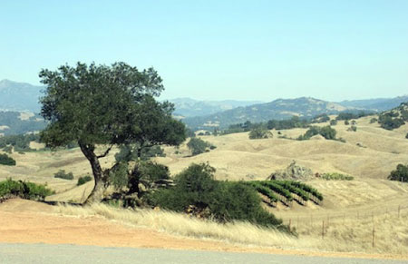 jordanview