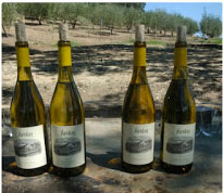 jordanwine