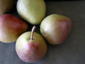 seckelpears.jpg