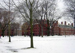 harvard.jpg