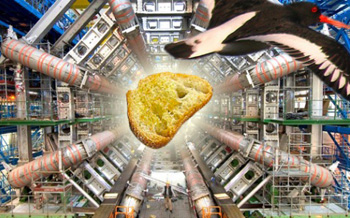 baguette-incident-5251.jpg