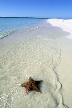 beach.jpg