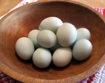 eggs.jpg