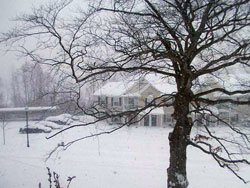 lansingsnow.jpg