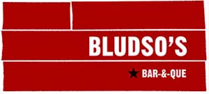 bludsologo