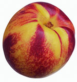 nectarine.jpg