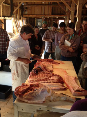 butcheringpig