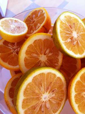 oranges.jpg