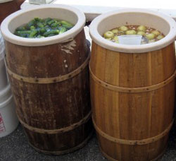 barrelsofpickles.jpg
