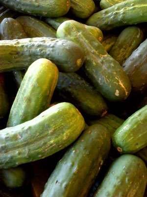 cucumbers.jpg