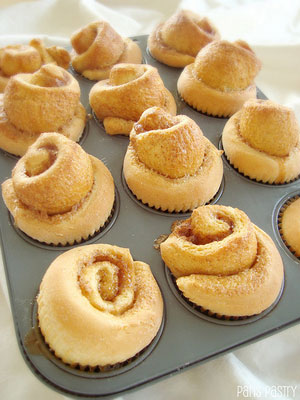 schnecken