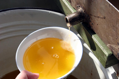walnutoil