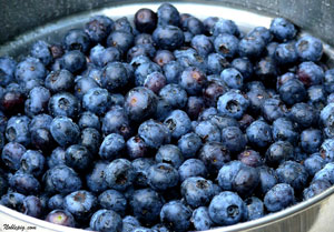 blueberries