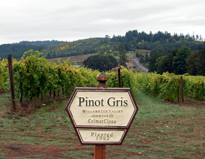 pinotgris500.jpg