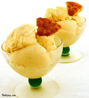 snickerdoodleice.jpg