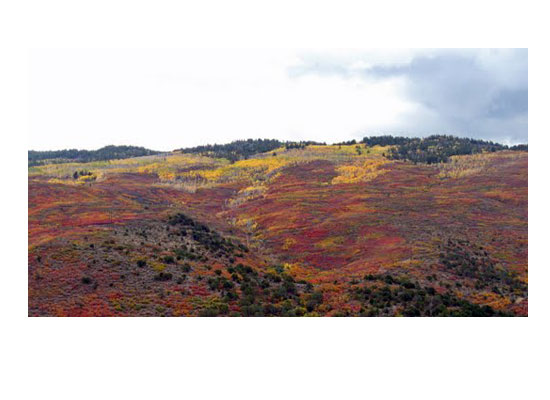 Colorado01