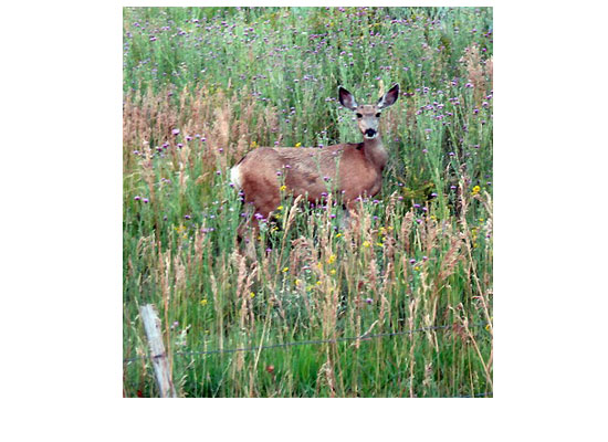 Colorado09