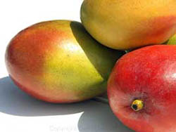 mangos3.jpg