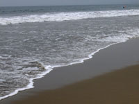 beachshore.jpg