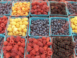 berriesmkt.jpg