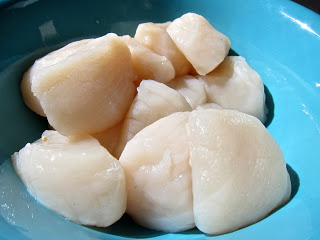scallopraw