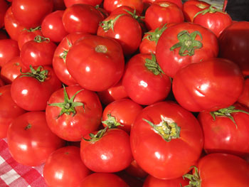 tomatoes.jpg