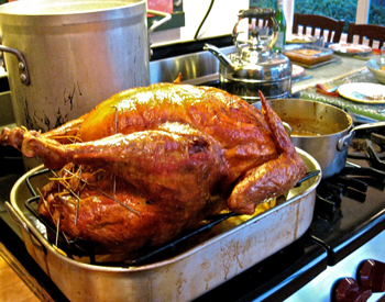 turkeystove.jpg