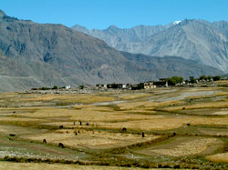 lehlandscape.jpg