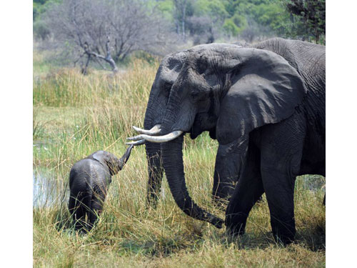Africa02