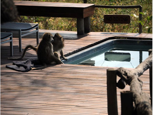 Africa05