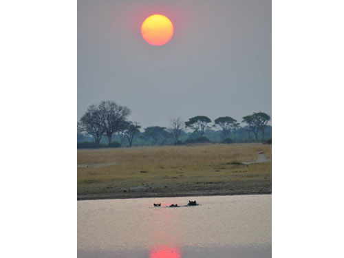Africa11
