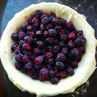 berries