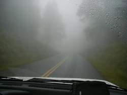 fog.jpg