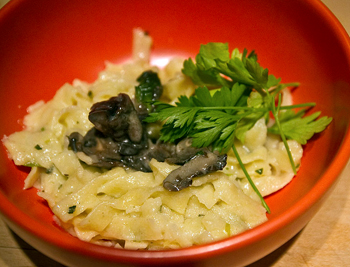 snailpasta