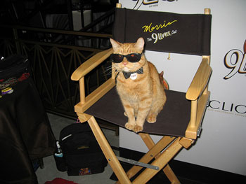 morris-in-directors-chair