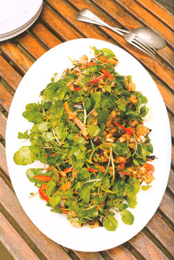bbqsalad.jpg